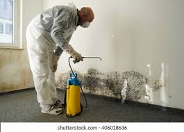 Why You Should Choose Our Mold Remediation Services in St Matthews, SC